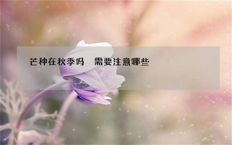 芒种在秋季吗 需要注意哪些